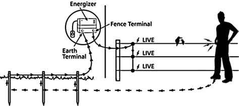 electric fence wiring diagram